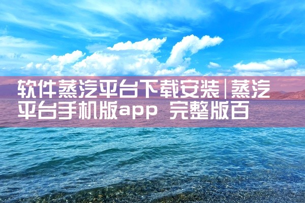 软件蒸汽平台下载安装